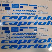 *NALEPNICA ZA BICIKL-CAPRIOLO